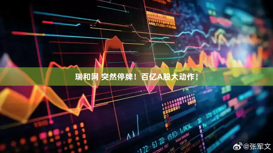 瑞和网 突然停牌！百亿A股大动作！