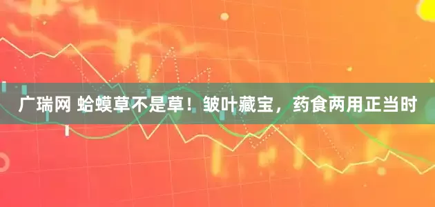 广瑞网 蛤蟆草不是草！皱叶藏宝，药食两用正当时