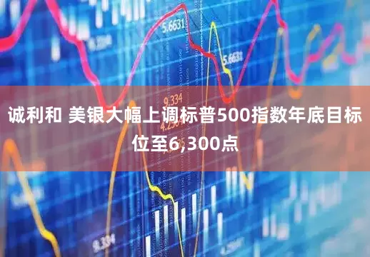 诚利和 美银大幅上调标普500指数年底目标位至6,300点