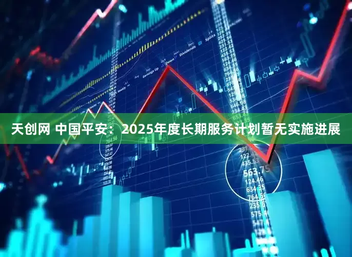 天创网 中国平安：2025年度长期服务计划暂无实施进展