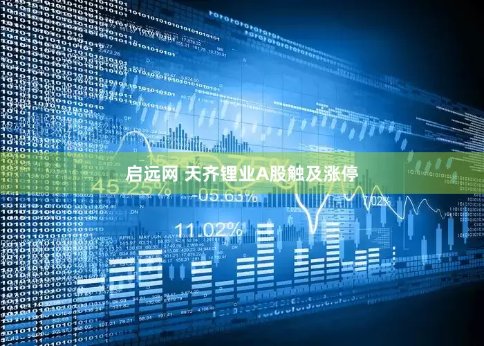 启远网 天齐锂业A股触及涨停