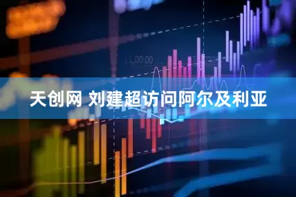 天创网 刘建超访问阿尔及利亚