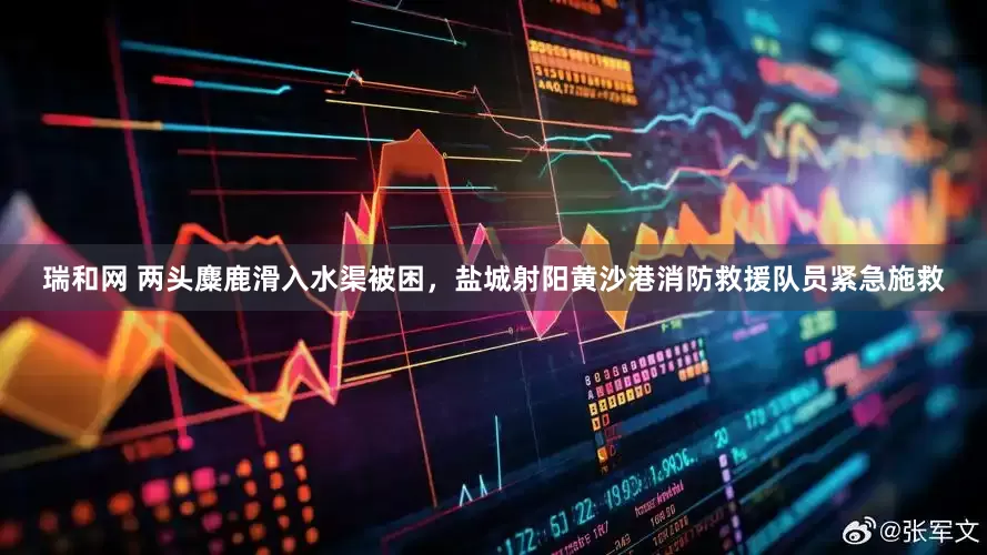 瑞和网 两头麋鹿滑入水渠被困，盐城射阳黄沙港消防救援队员紧急施救